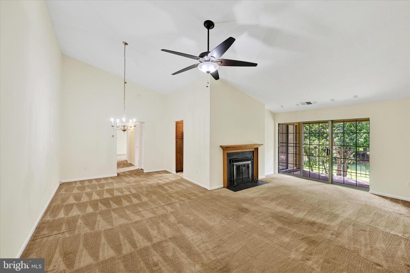 14202 Dove Creek Way #303 photo 4