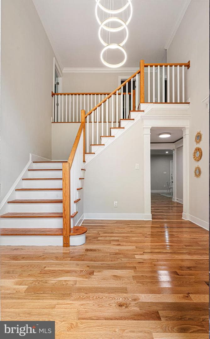 12 Timber Run Court photo 9