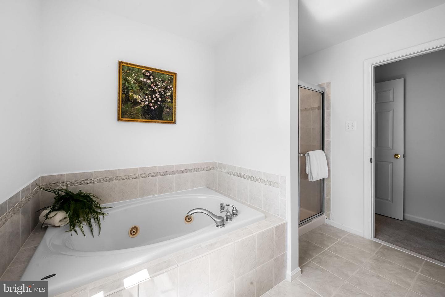 703 Nellis Road photo 25