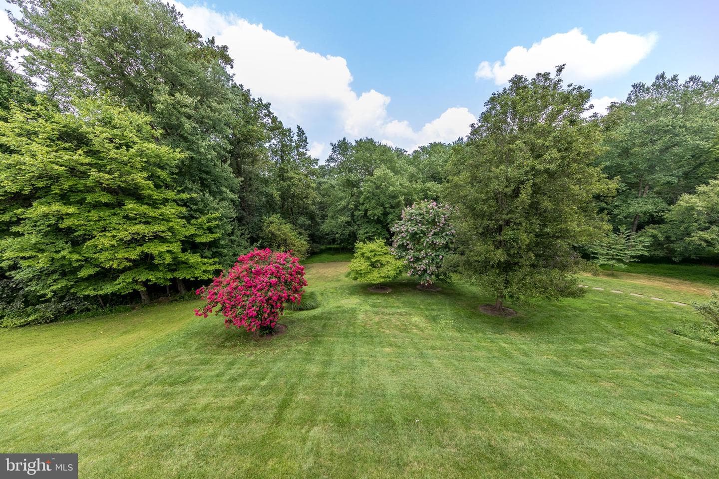 8124 Rose Haven Road photo 30