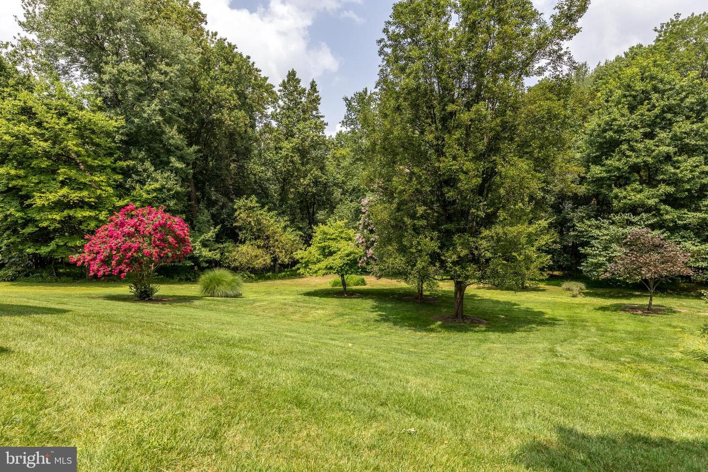 8124 Rose Haven Road photo 34