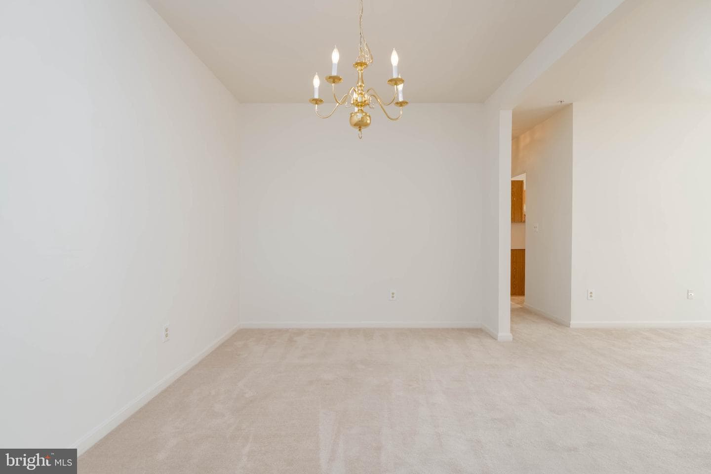 608 Hopkins Landing Drive #608 photo 5
