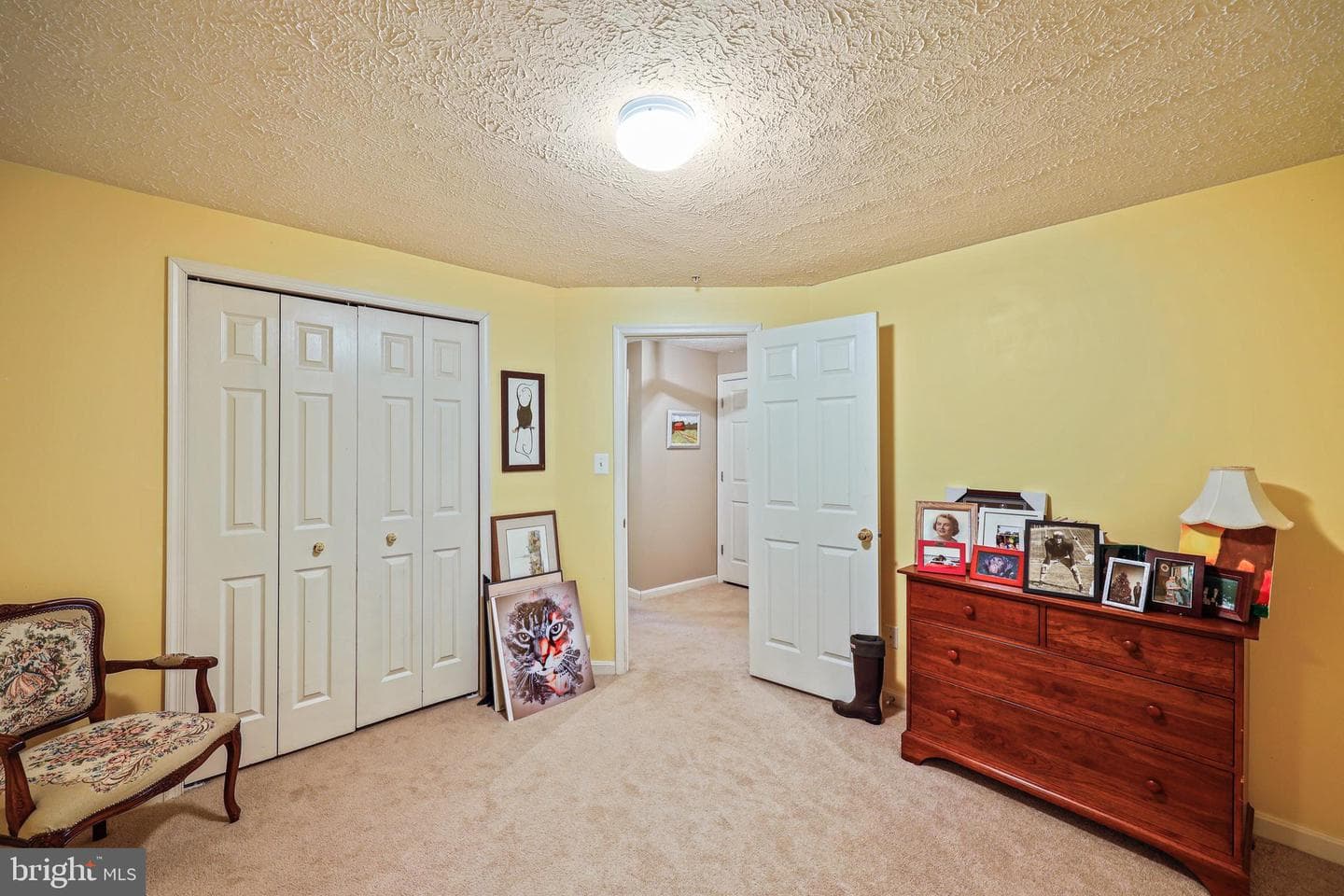 15 Winterberry Court photo 23