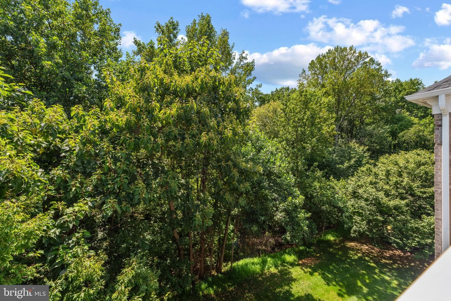 12103 Tullamore Court #402 photo 37