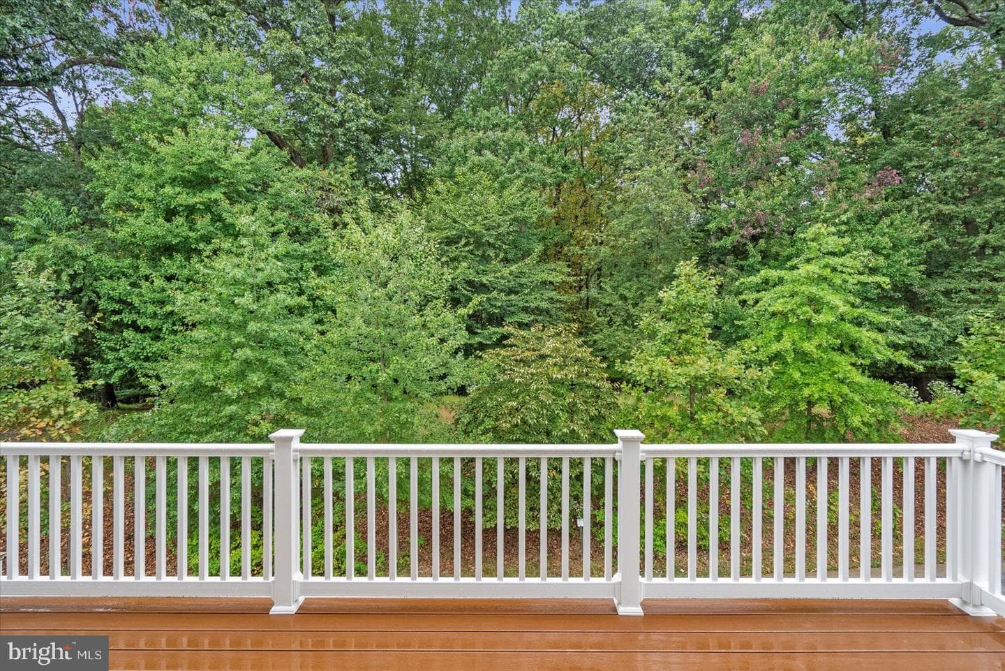 8634 Springvale Drive photo 39