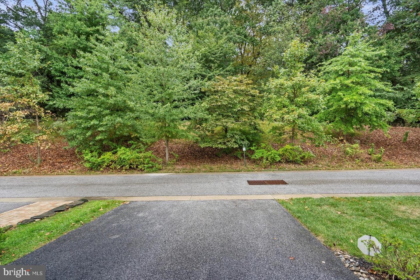 8634 Springvale Drive photo 40