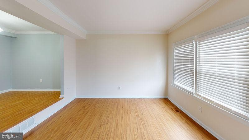 4 Bantry Court photo 12