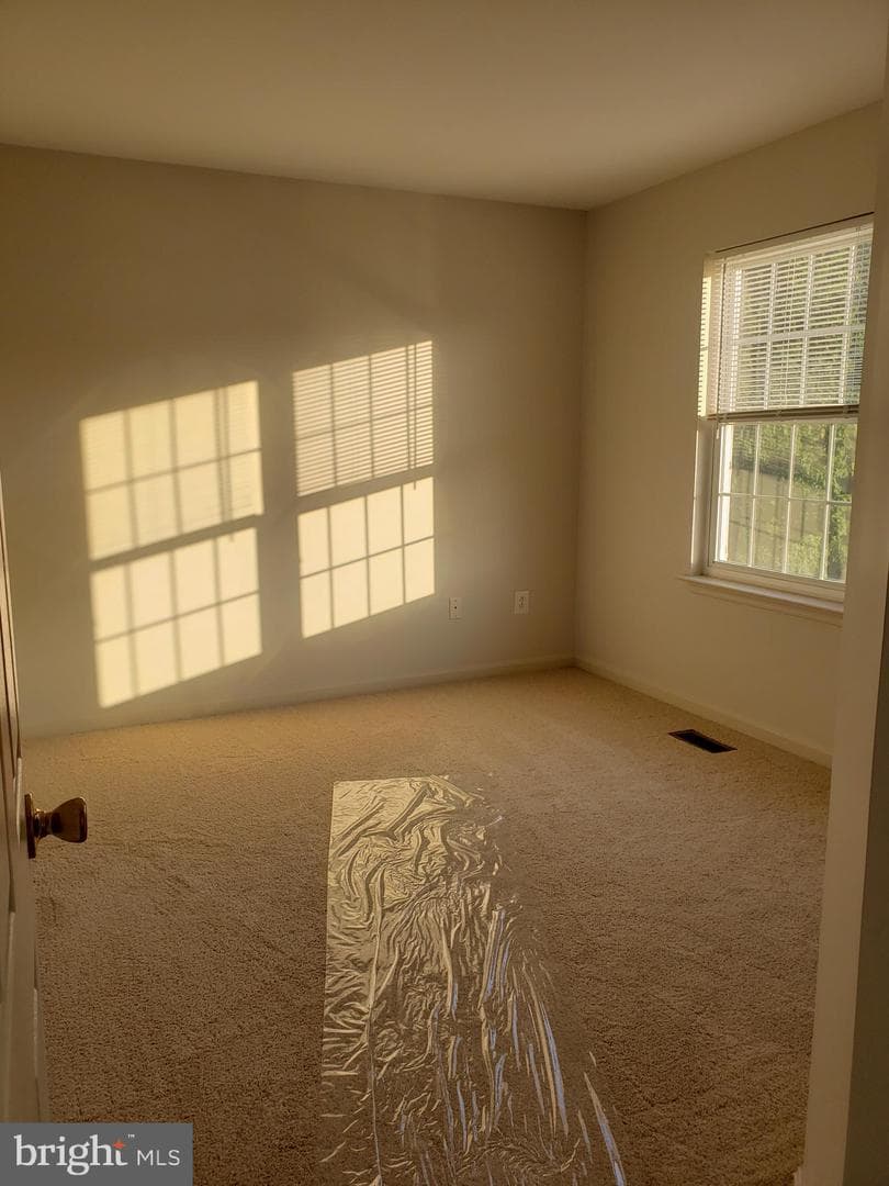 19 Perry Woods Court photo 11