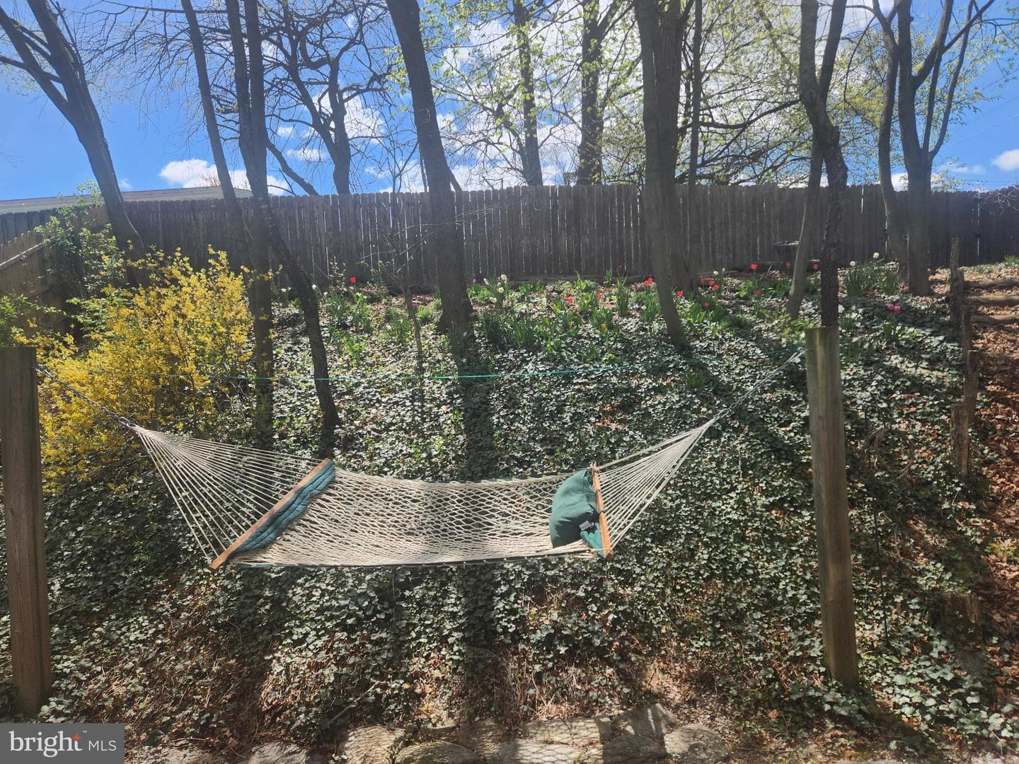 19 Perry Woods Court photo 18