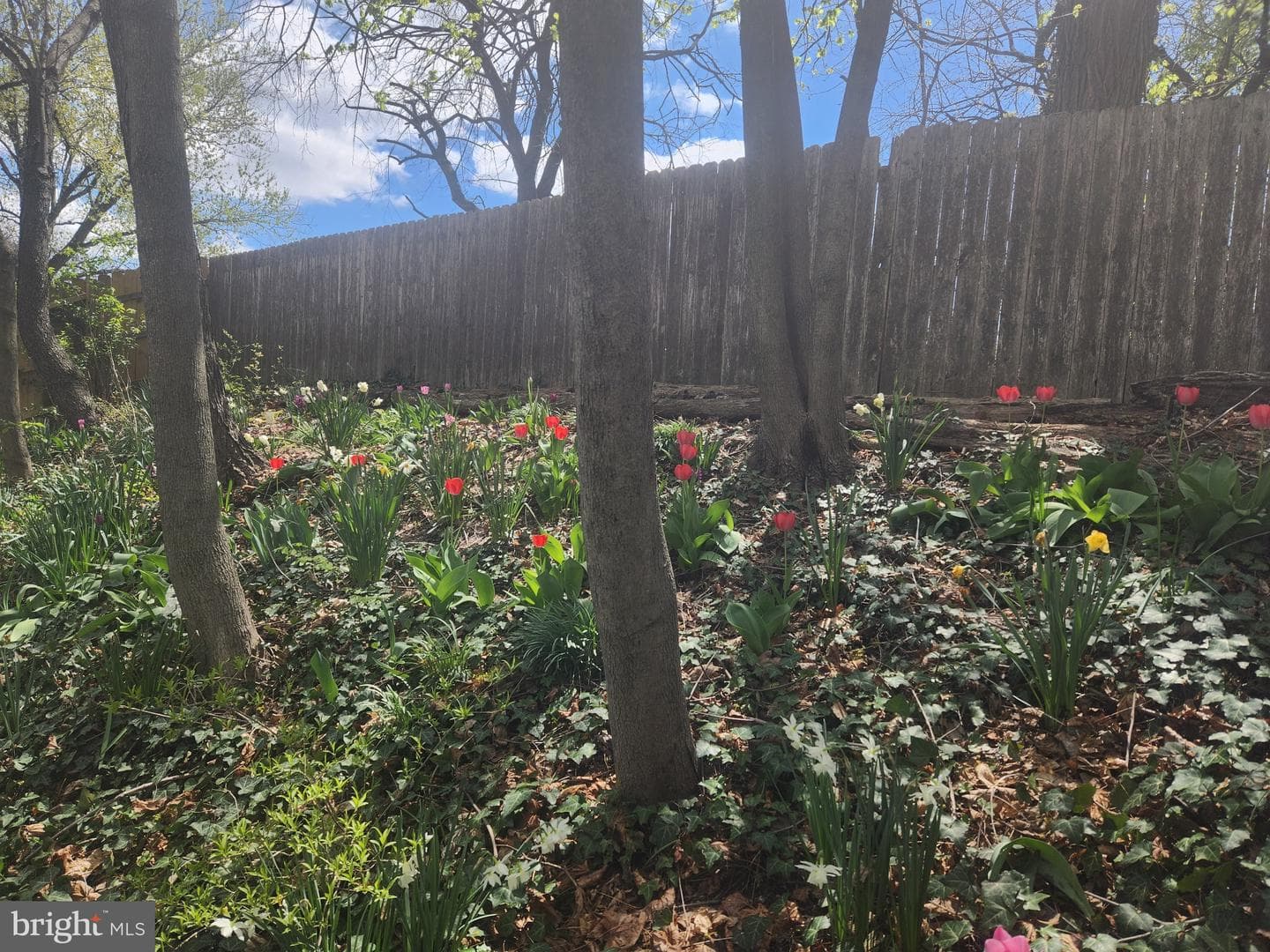 19 Perry Woods Court photo 19