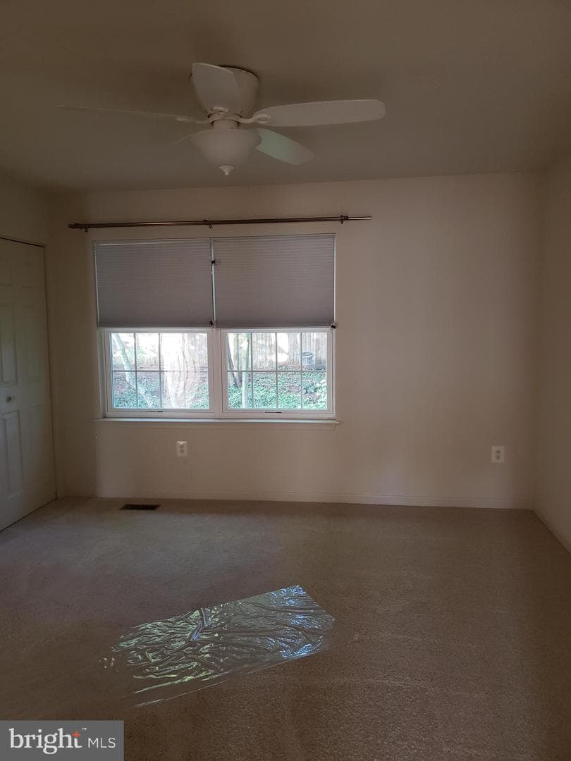 19 Perry Woods Court photo 8