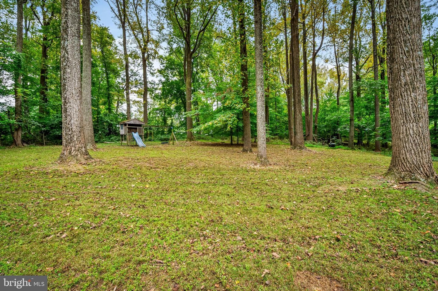 3 Chartwell Court photo 46
