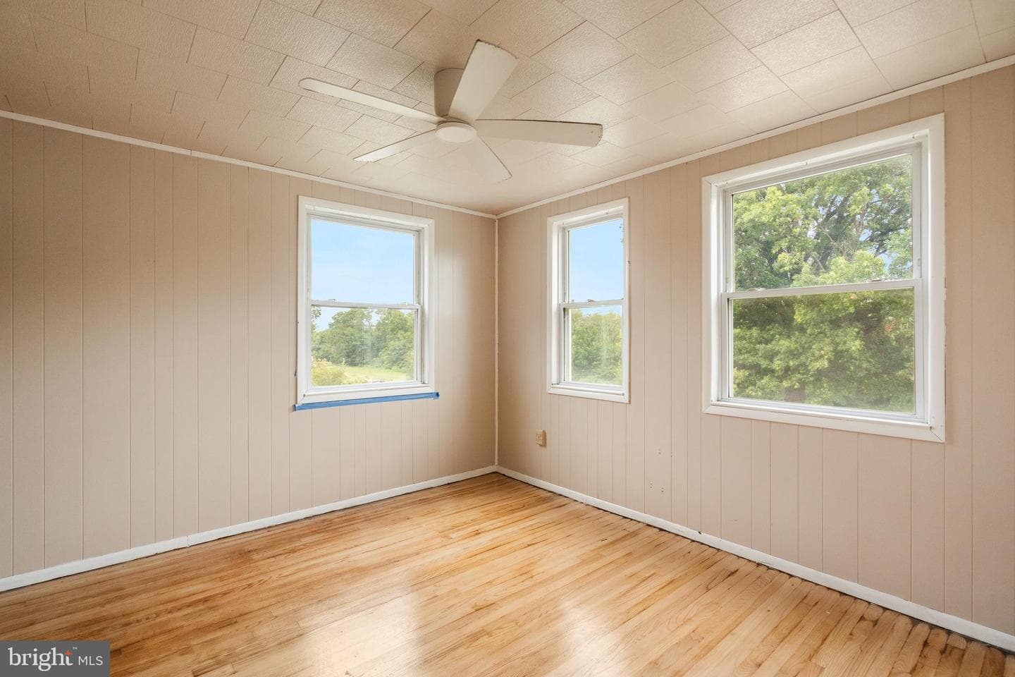 8143 Park Haven Road photo 14