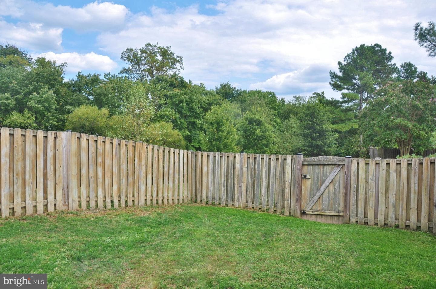 21 Margery Court photo 12