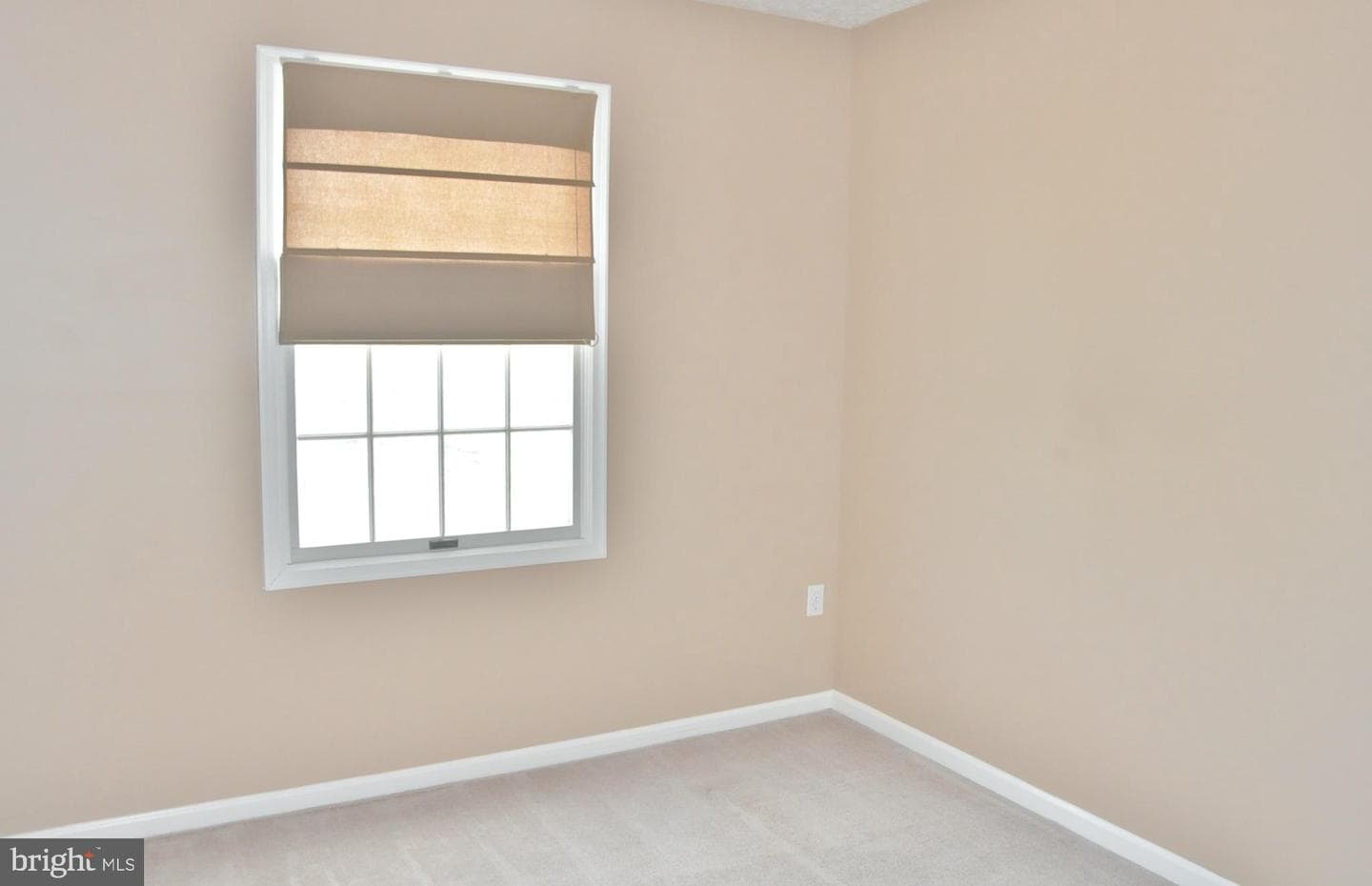 21 Margery Court photo 40