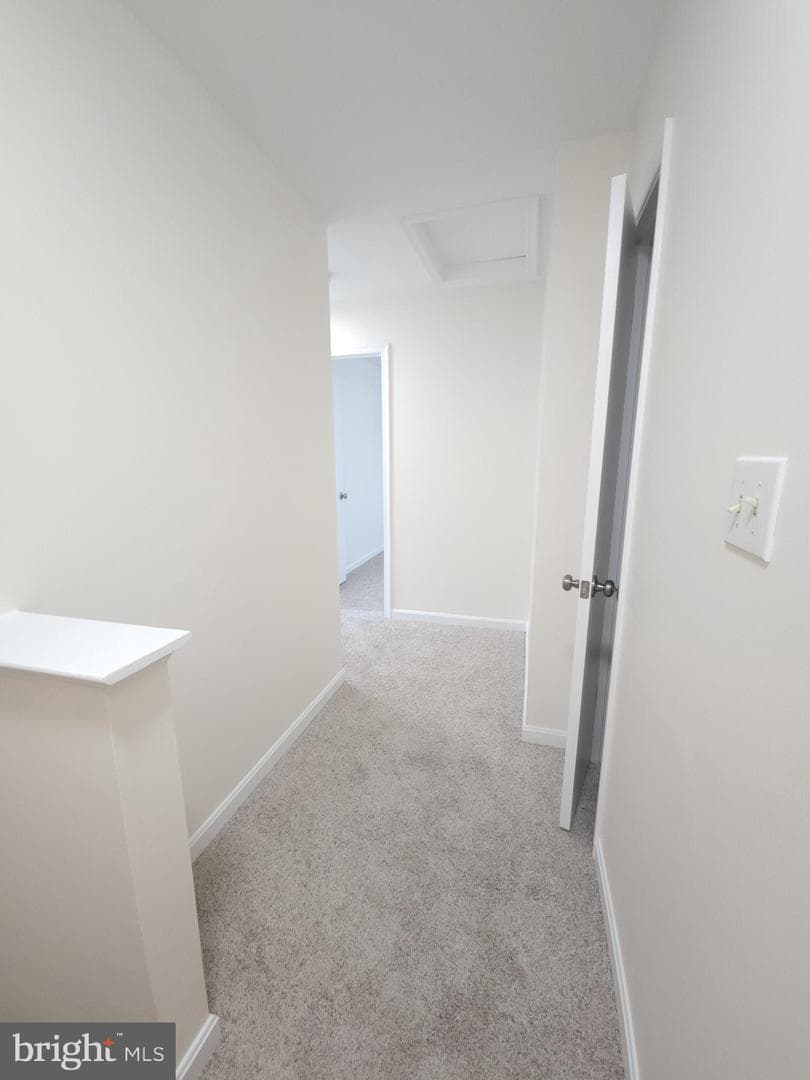 4129 Hunters Hill Circle #4129 photo 46