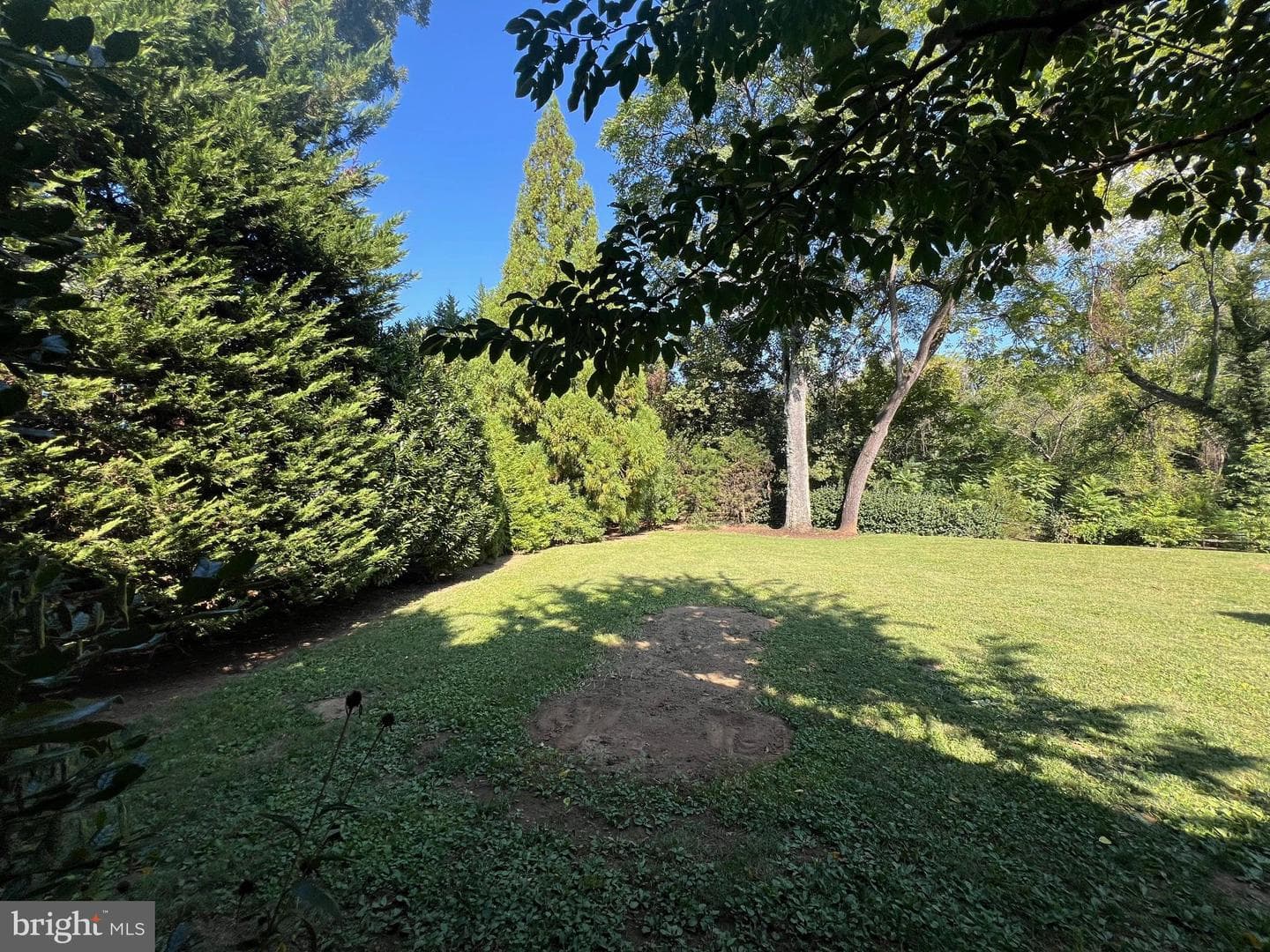 6018 Altamont Place photo 45