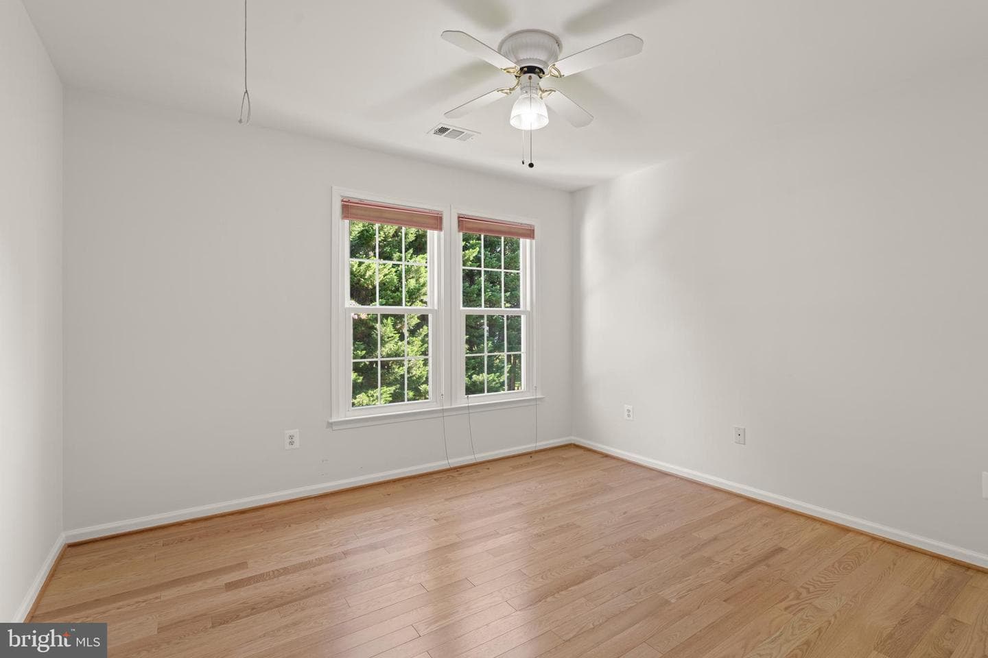 8503 Thornton Road photo 19