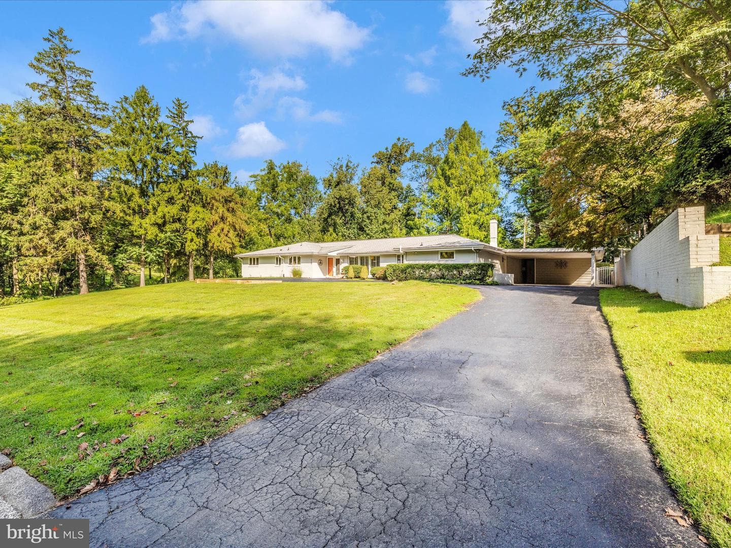 8207 Marcie Drive photo 65