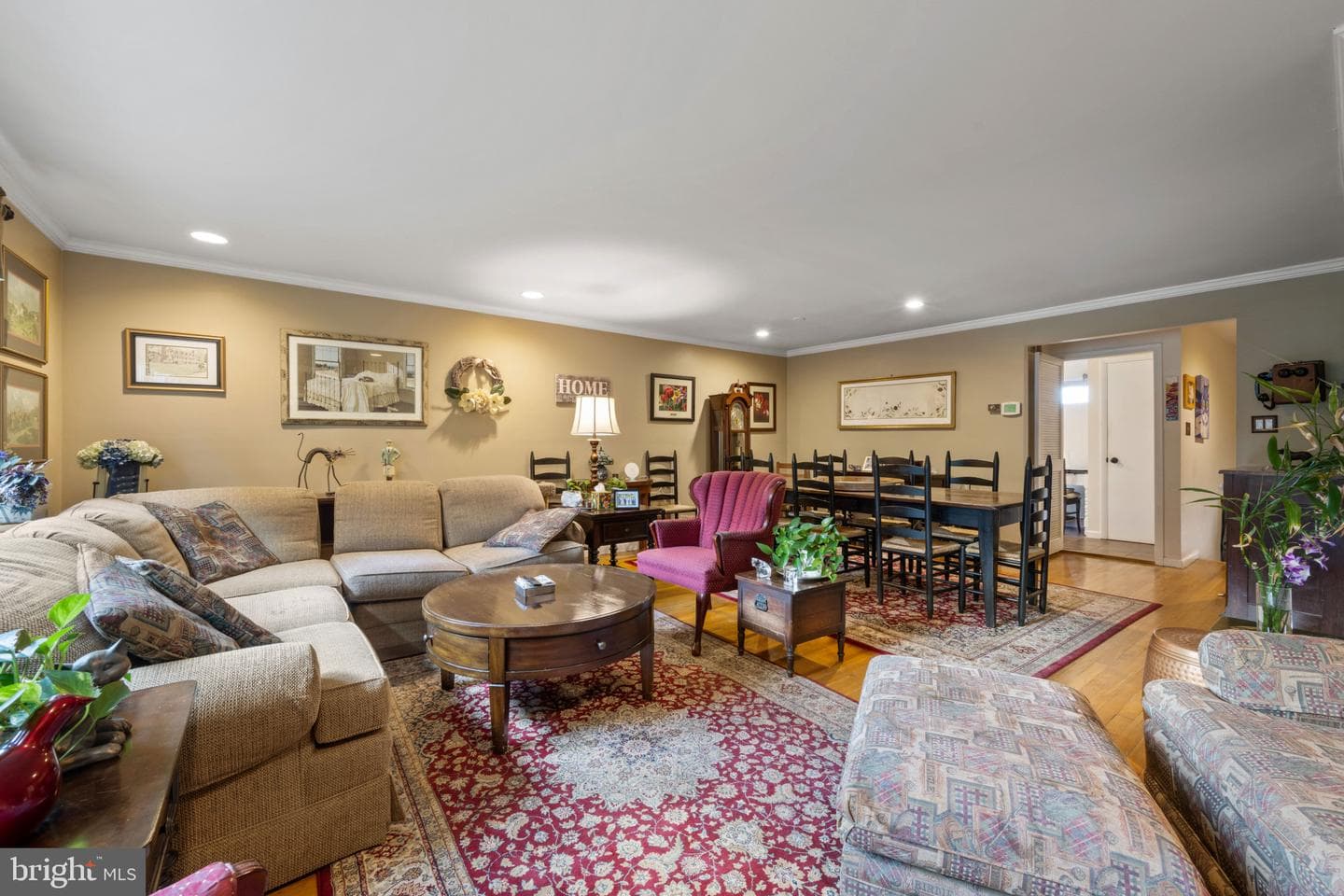 9 Theo Lane photo 10