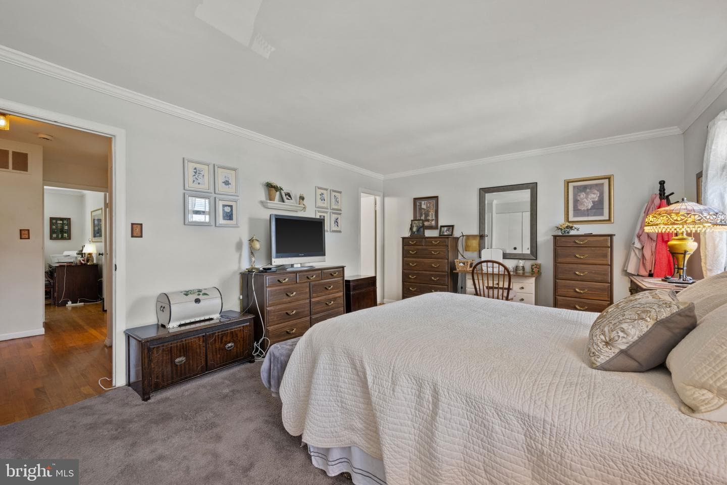 9 Theo Lane photo 15