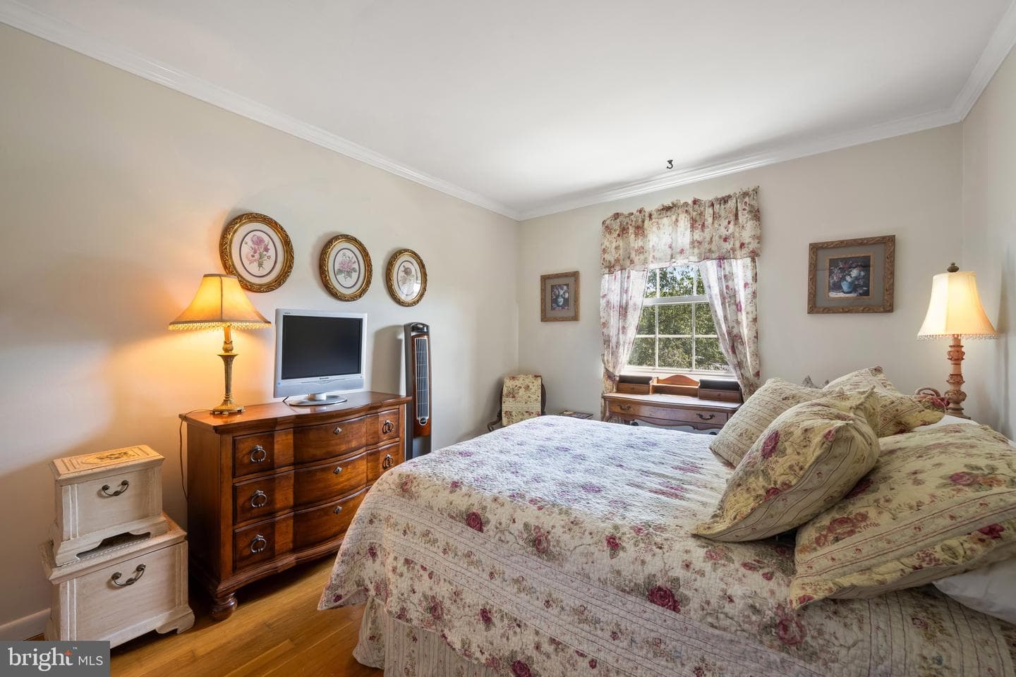 9 Theo Lane photo 19