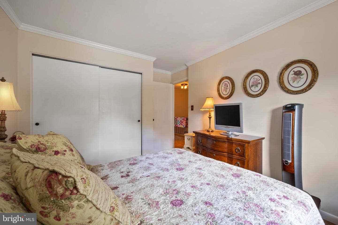 9 Theo Lane photo 20