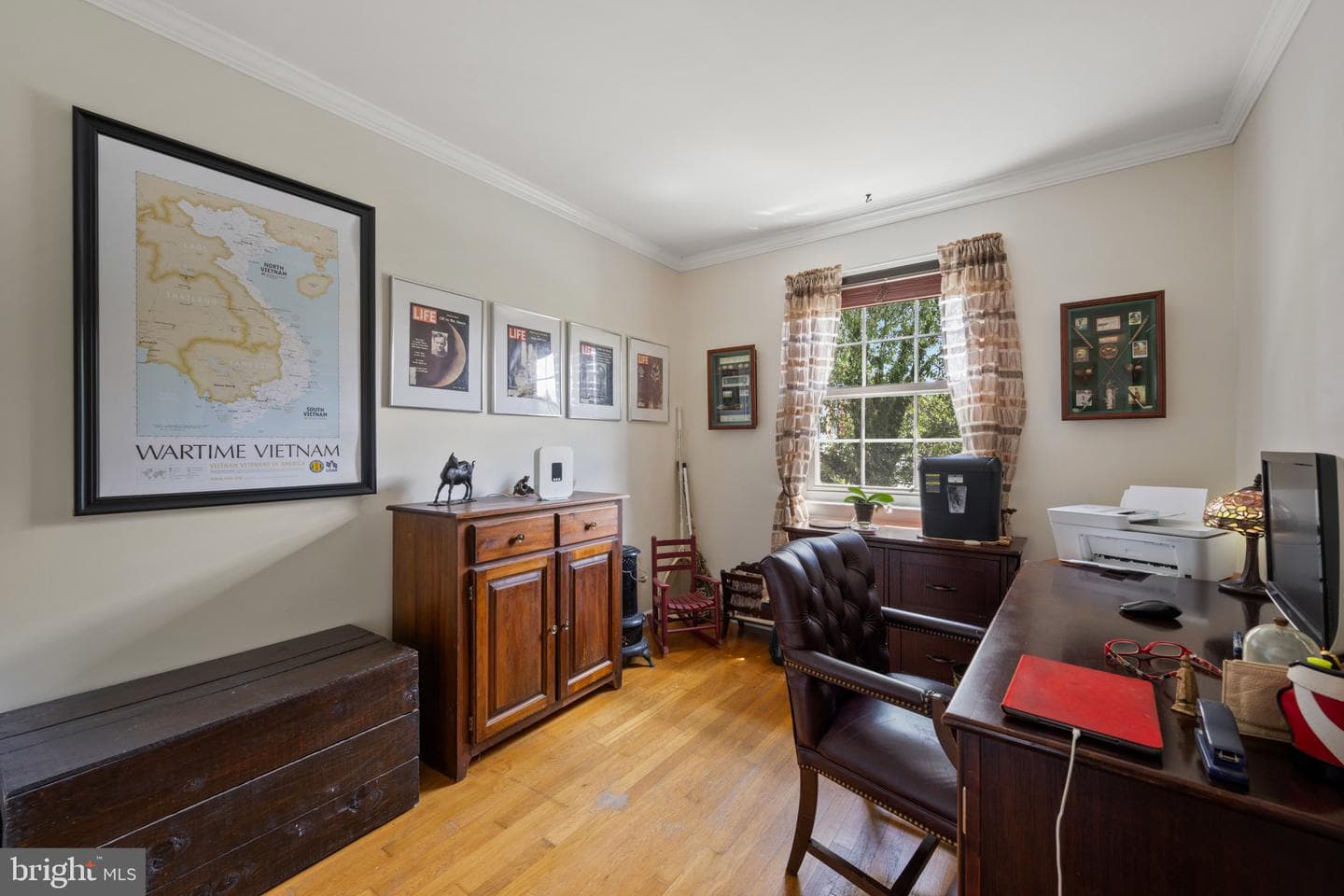 9 Theo Lane photo 21