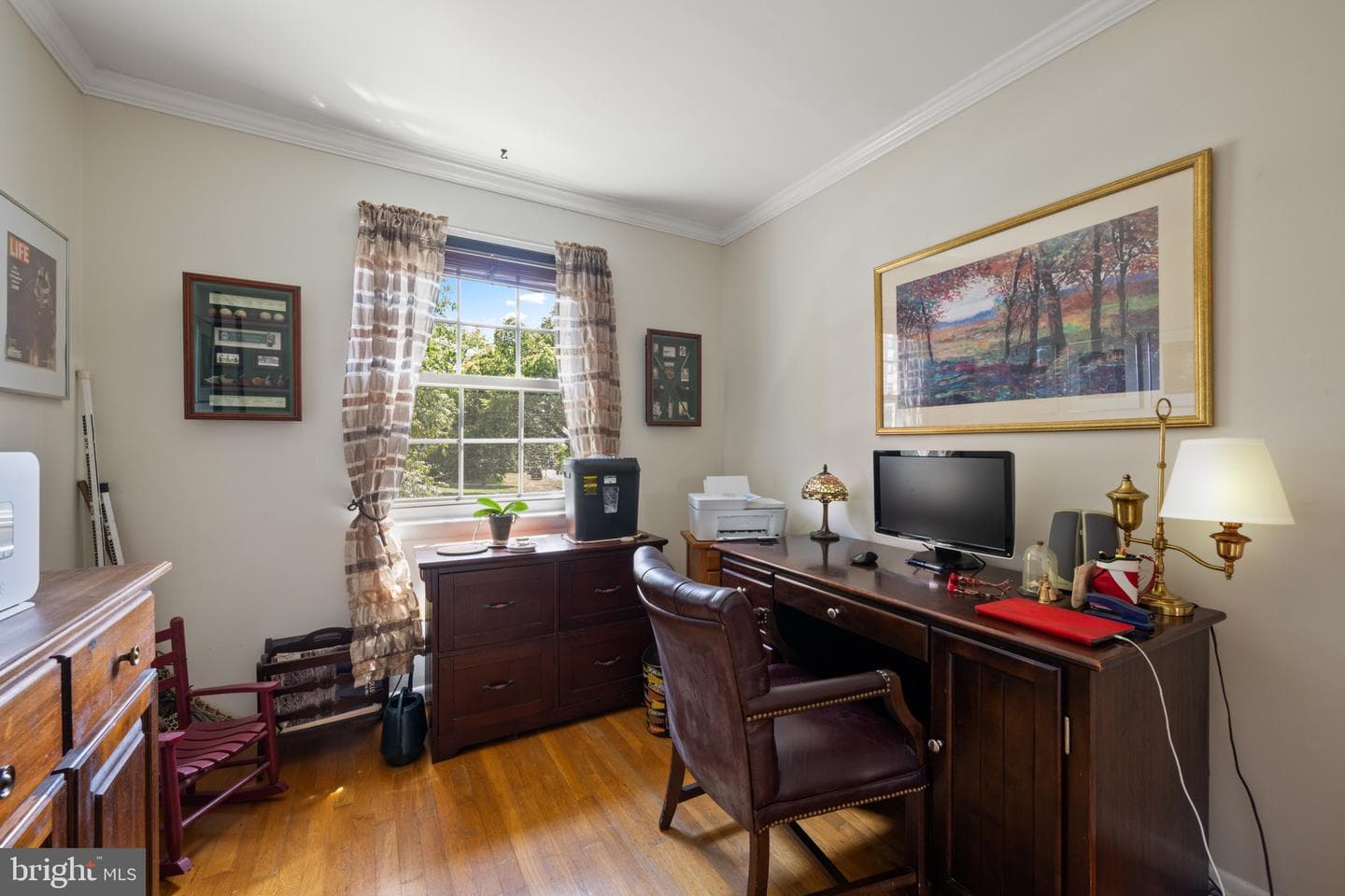 9 Theo Lane photo 22
