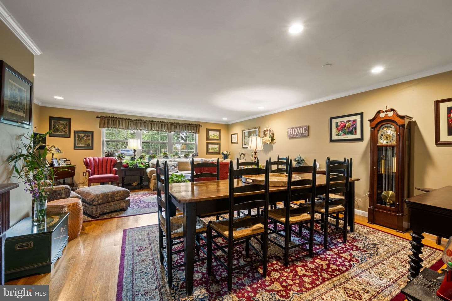 9 Theo Lane photo 4