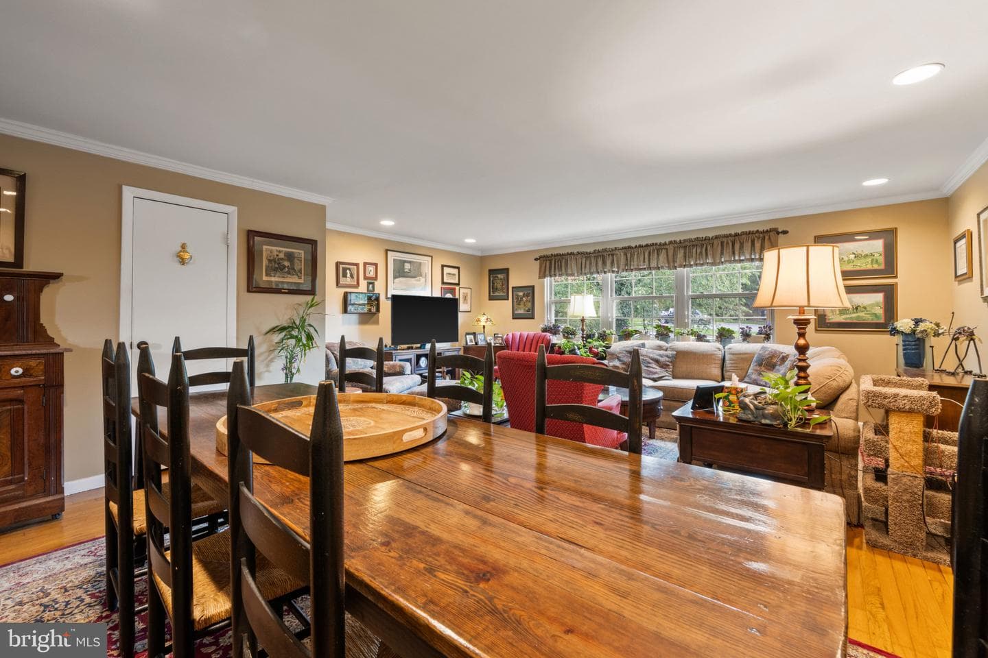 9 Theo Lane photo 8
