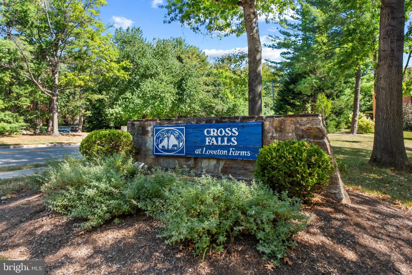12 Cross Falls Circle photo 23