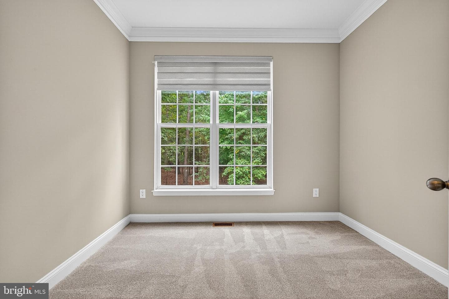 10105 Shaw Drive photo 18