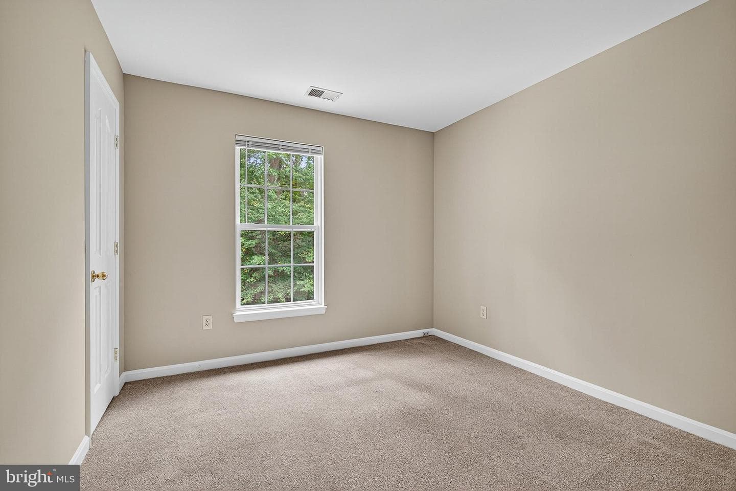 10105 Shaw Drive photo 20