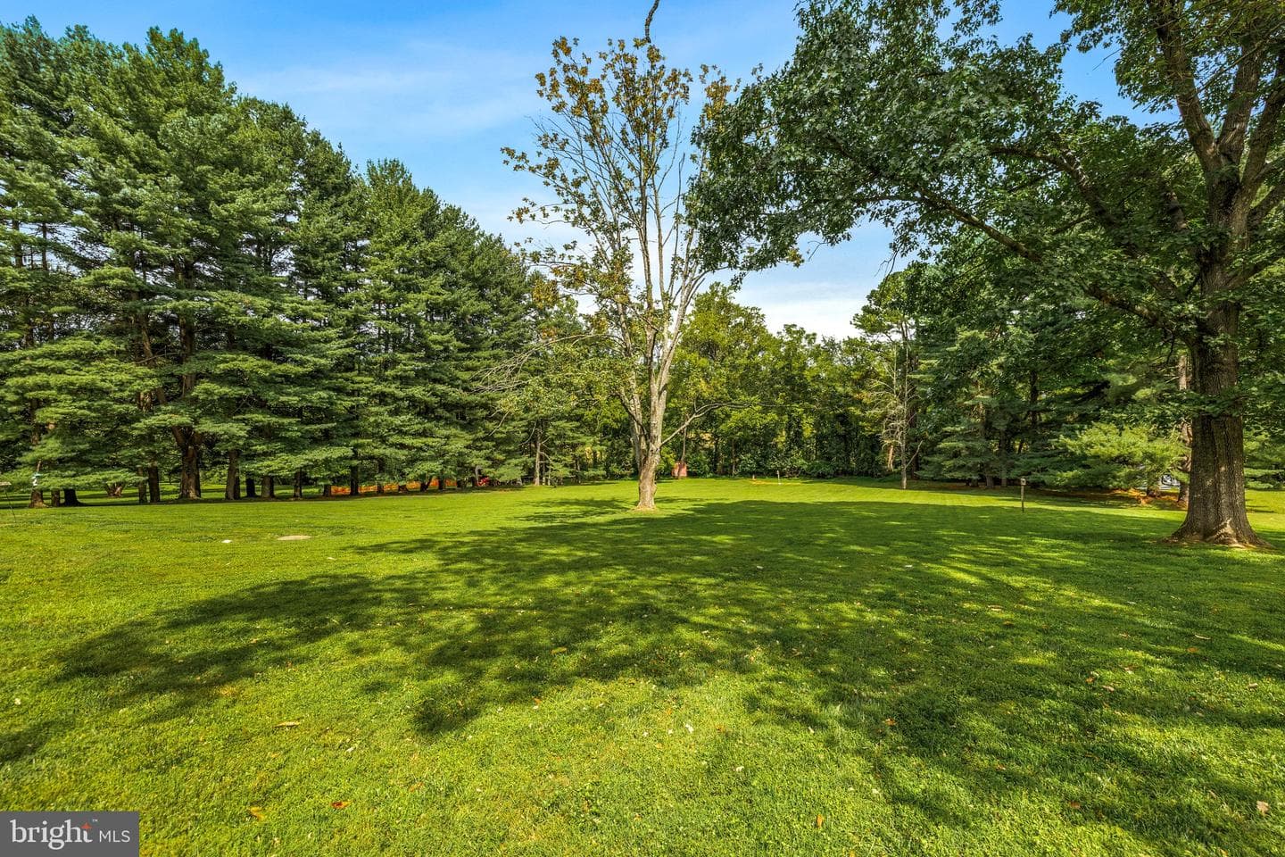 2504 Carroll Mill Road photo 59