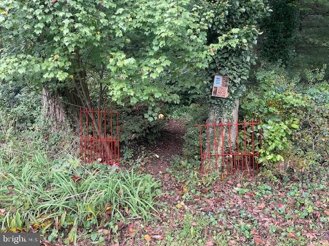 3 Fork Spring Court photo 96