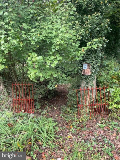 3 Fork Spring Court photo 97