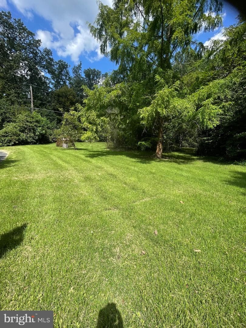 17323 Wesley Chapel Road photo 19