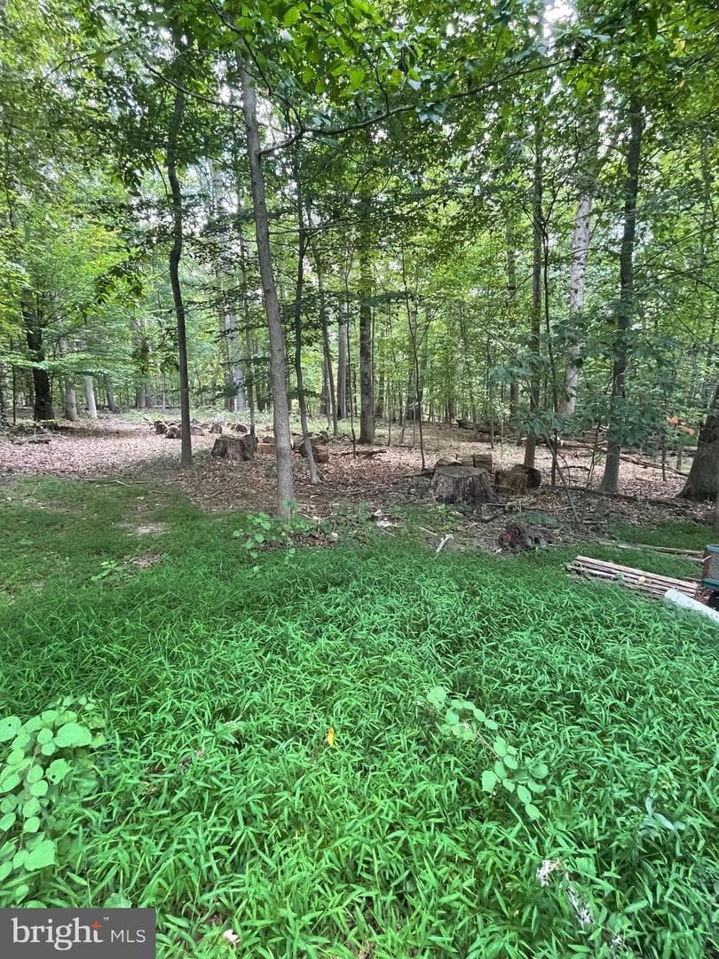 17323 Wesley Chapel Road photo 21