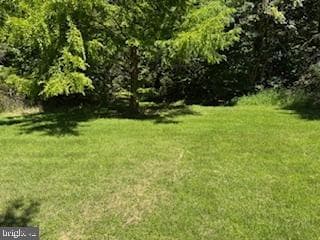 17323 Wesley Chapel Road photo 6