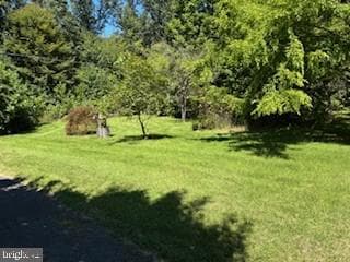 17323 Wesley Chapel Road photo 7