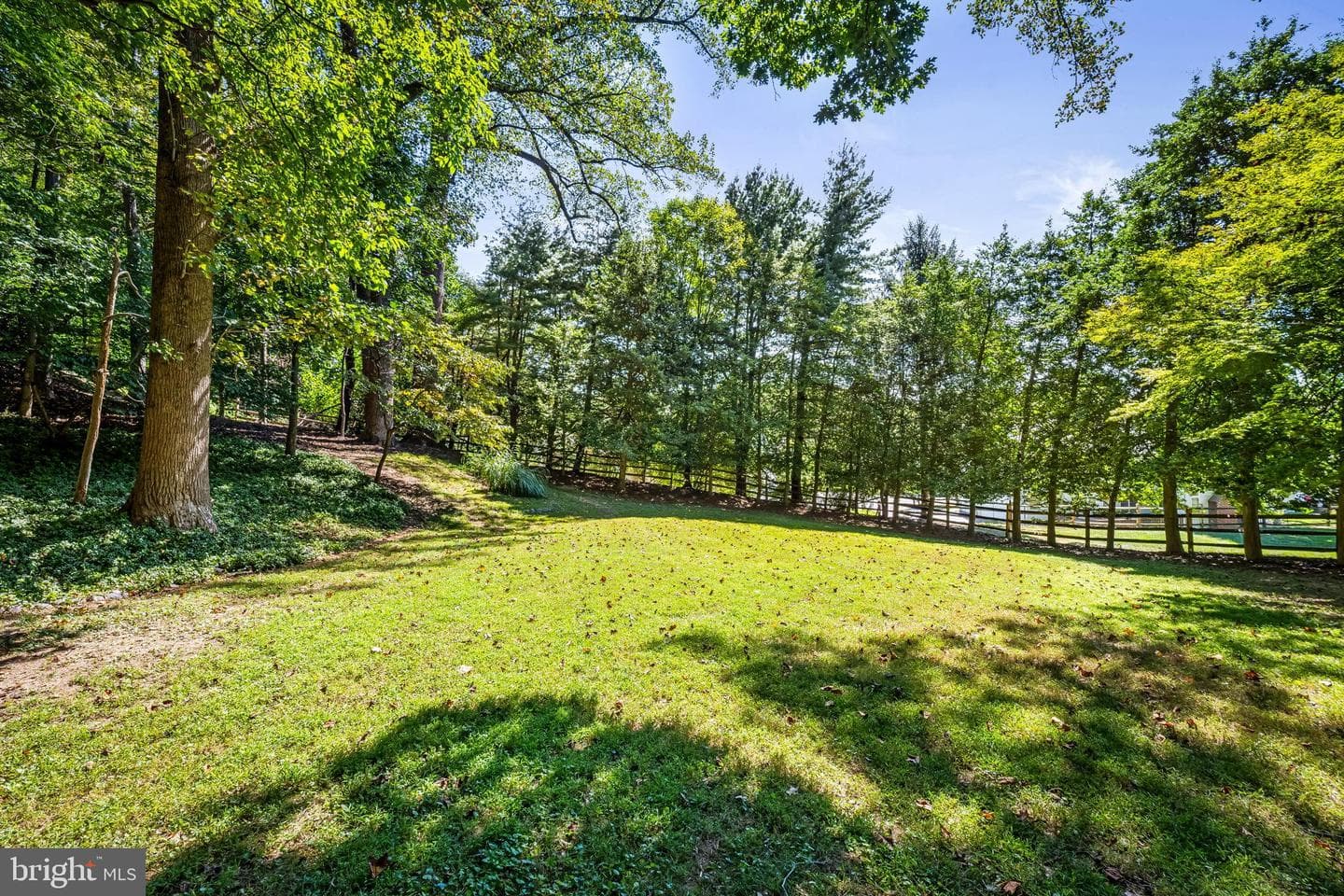 8531 Hill Spring Drive photo 44