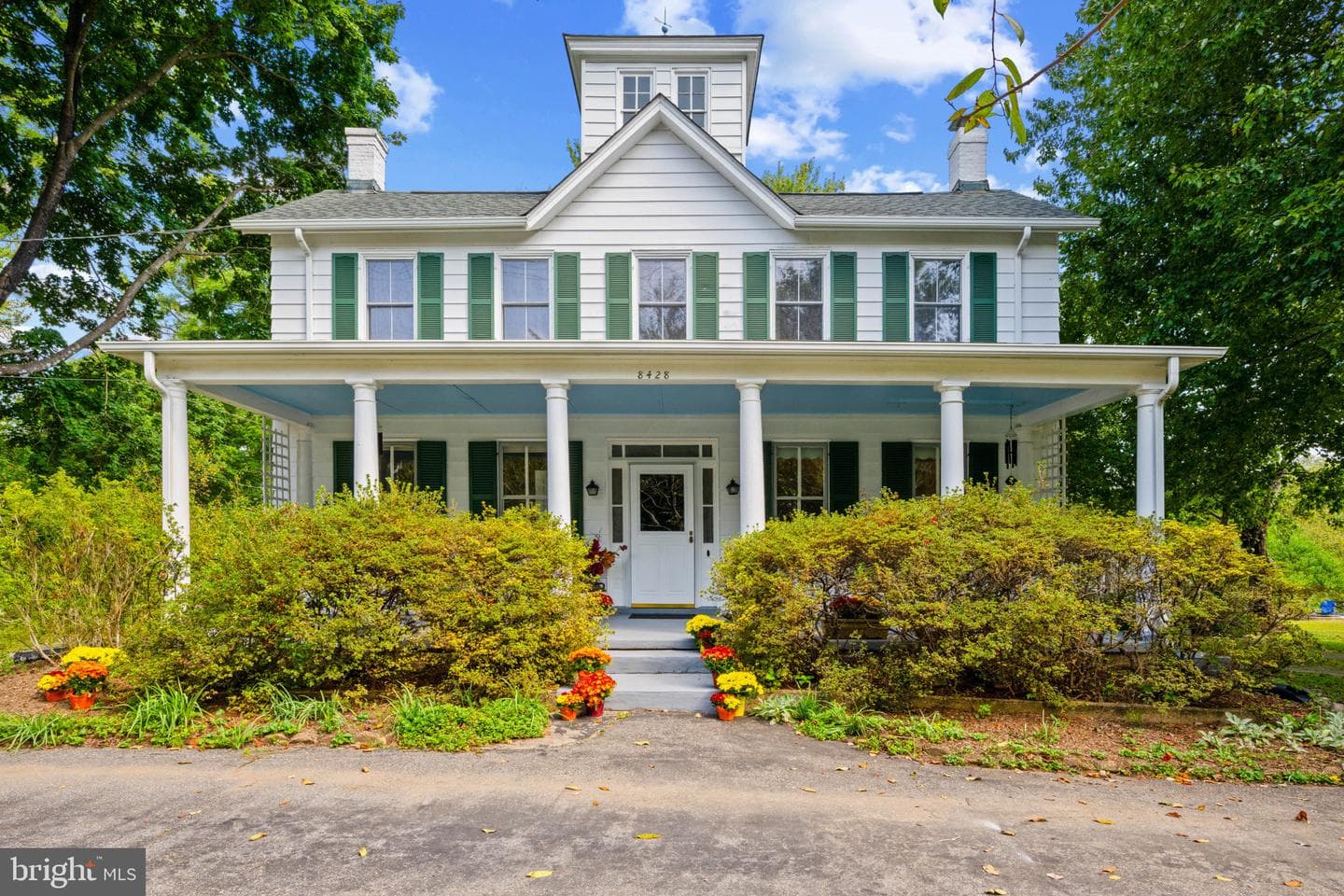 8428 Dogwood Road photo 2