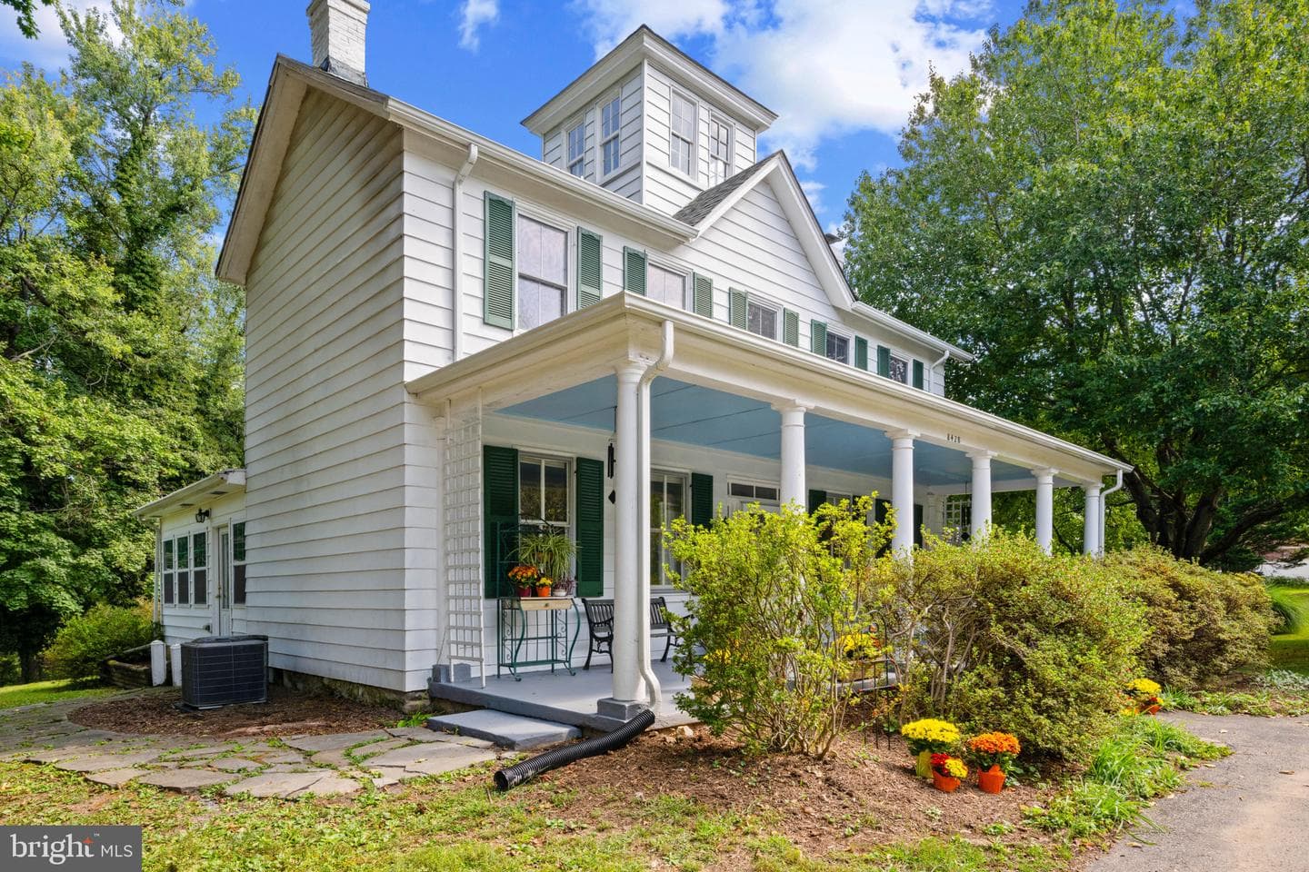 8428 Dogwood Road photo 3