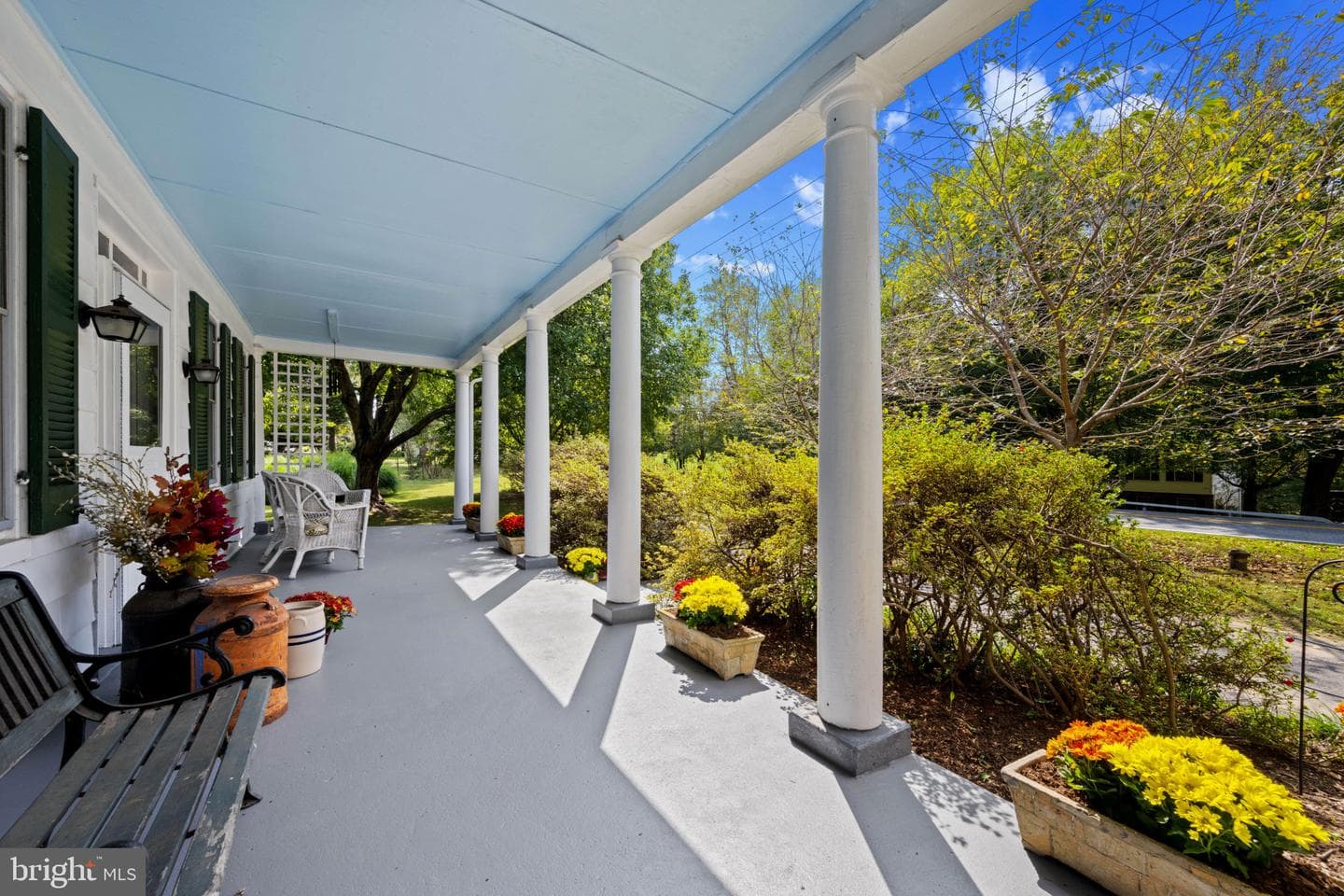8428 Dogwood Road photo 5