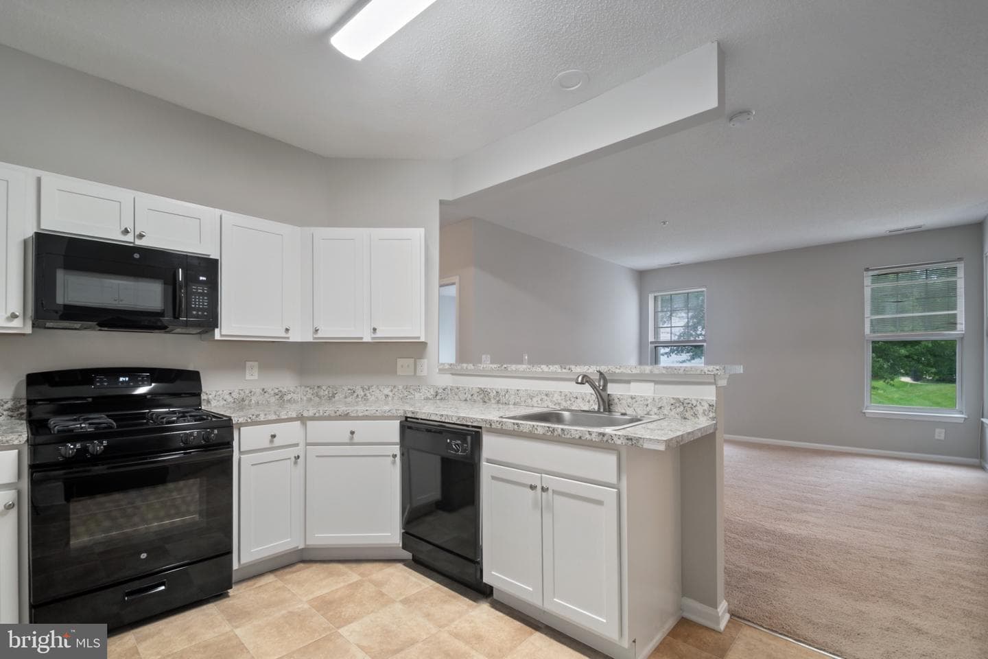 7115 Sandown Circle #203 photo 12