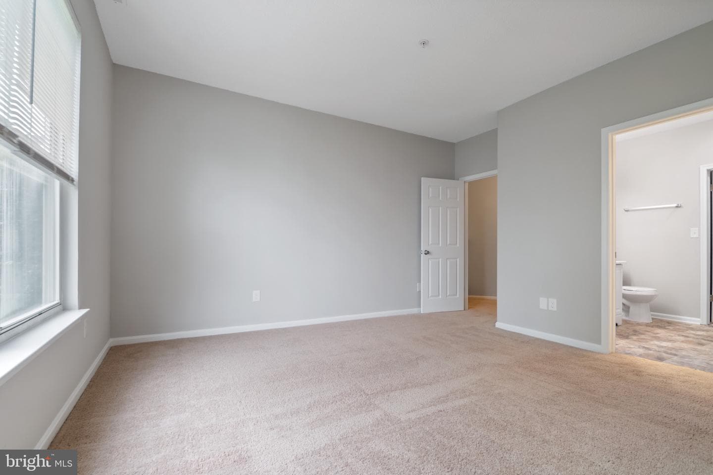 7115 Sandown Circle #203 photo 21