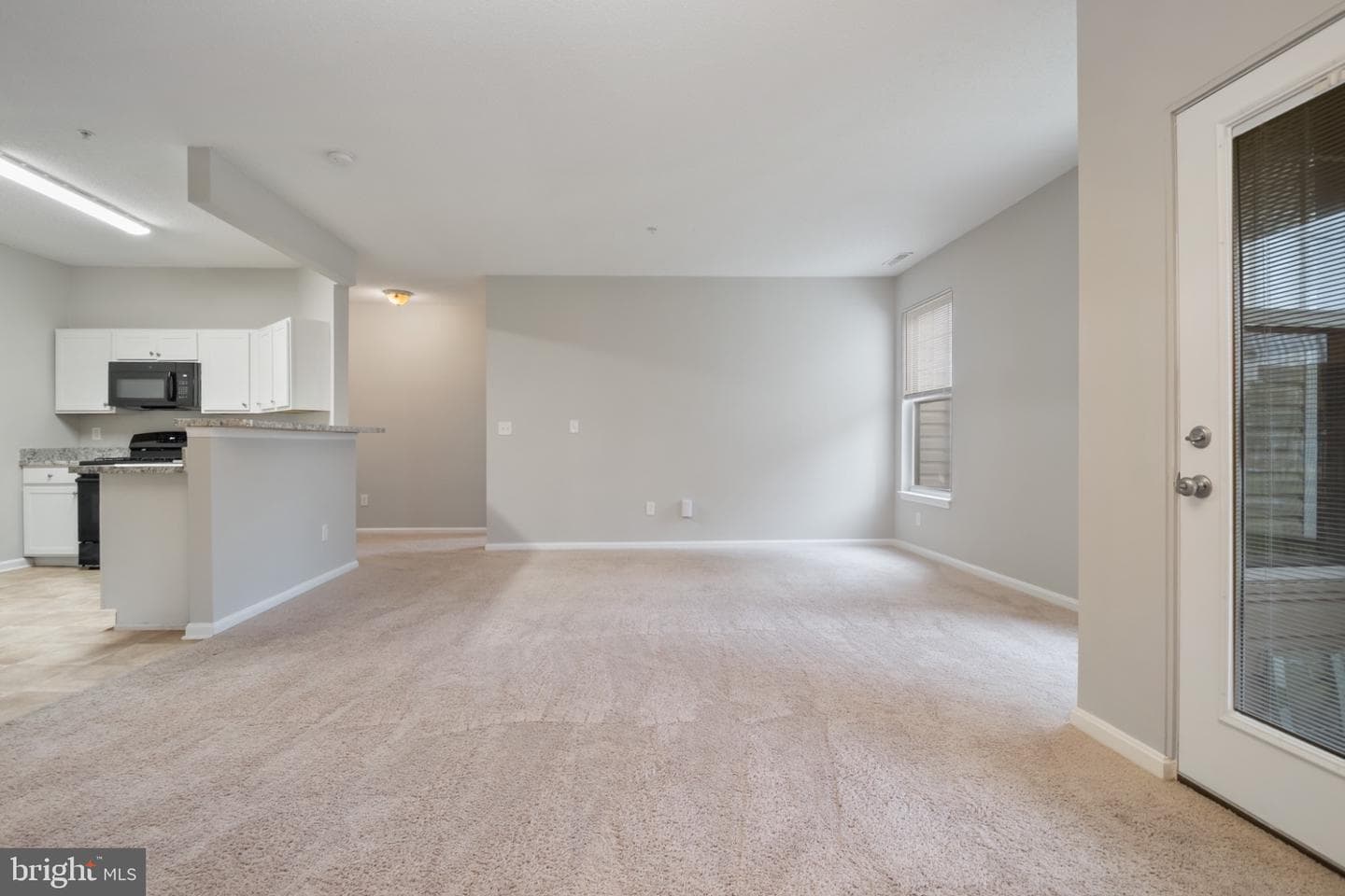 7115 Sandown Circle #203 photo 5