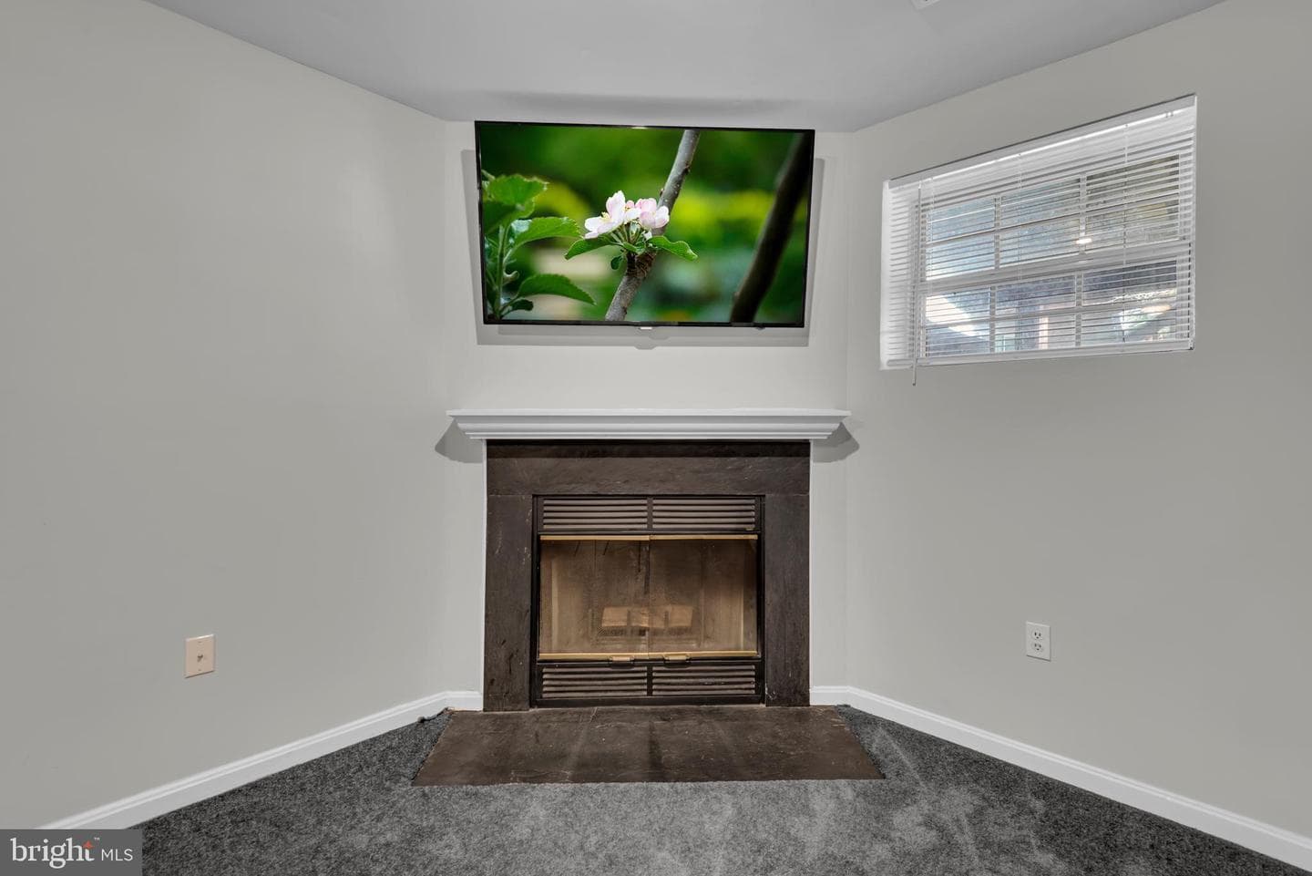 4611 Mews Drive photo 31