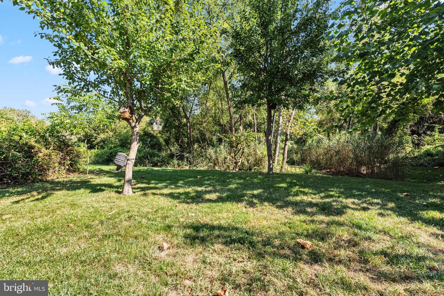 9302 Sea Horse Court photo 49